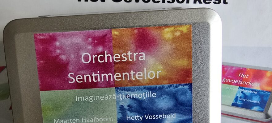 Het Gevoelsorkest reist naar Bârlad!